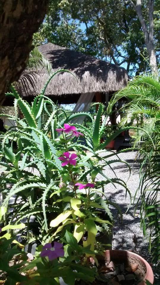 プライア・ド・フォルテ Chale "Oasis"ヴィラ エクステリア 写真