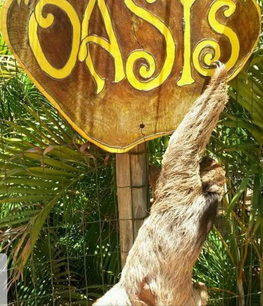 プライア・ド・フォルテ Chale "Oasis"ヴィラ エクステリア 写真